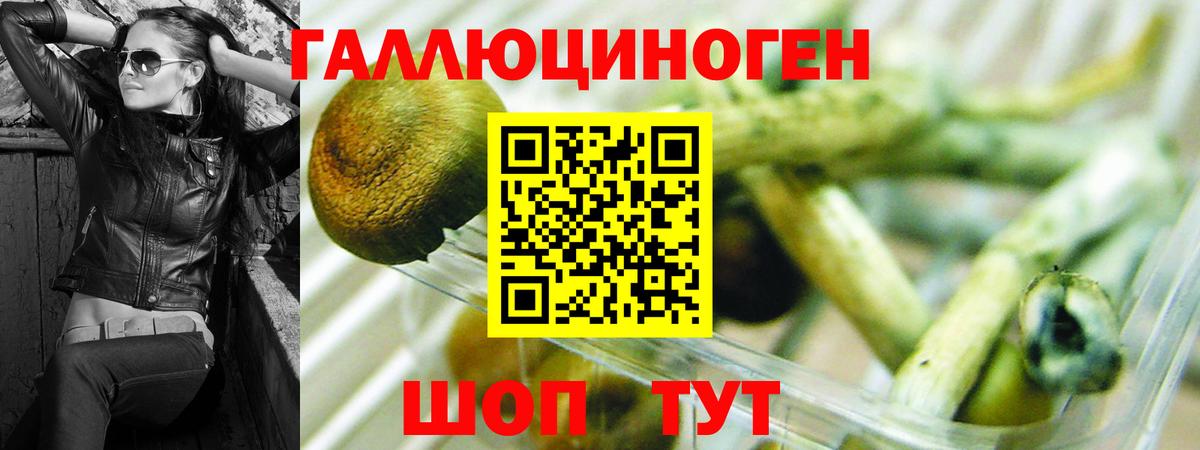 Протвино  Псилоцибиновые грибы Psilocybe  Галлюциногенные грибы GOLDEN TEACHER  Вход с VPN 